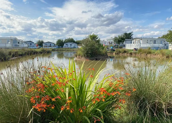 Holidays With Tlc At Cherry Lea Park